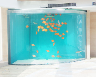哈尔滨酒店亚克力鱼缸