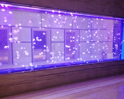 北京永利酒店鱼缸