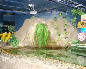 诚信鱼悦酒店鱼缸建设