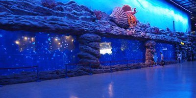   長(zhǎng)沙科技館水族工程造景是長(zhǎng)沙地區(qū)最大的科技館，采用最新穎的設(shè)計(jì)風(fēng)格，結(jié)合場(chǎng)館的特點(diǎn)，量身打造個(gè)性鮮明的水族工程，讓這個(gè)場(chǎng)館顯得生氣盎然，靈動(dòng)活潑。

