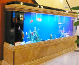 誠(chéng)信魚悅生態(tài)魚缸